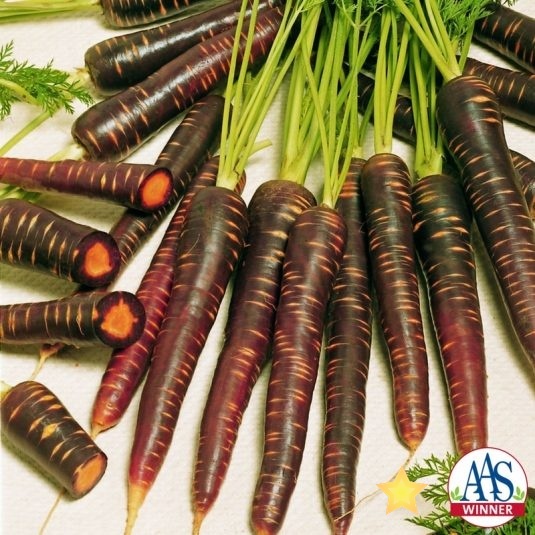 Carrot Purple Haze Carrot Purple Haze