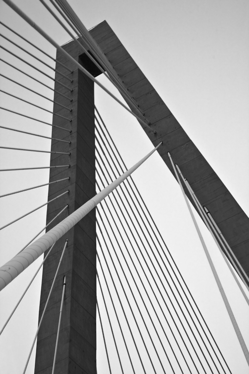 Charleston Bridge Cables