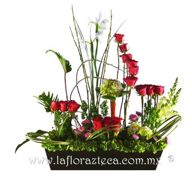 LFA-801
Precio $1,380