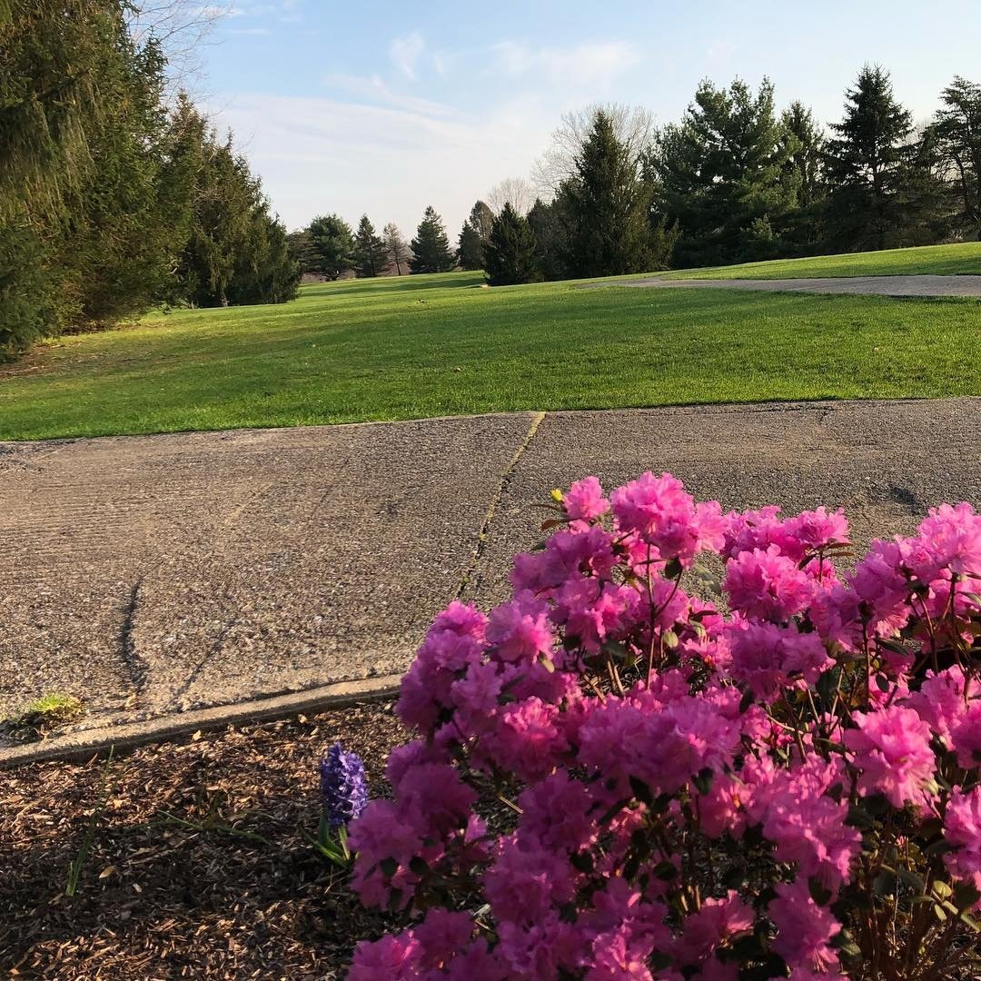 Tree Top Golf Course Home