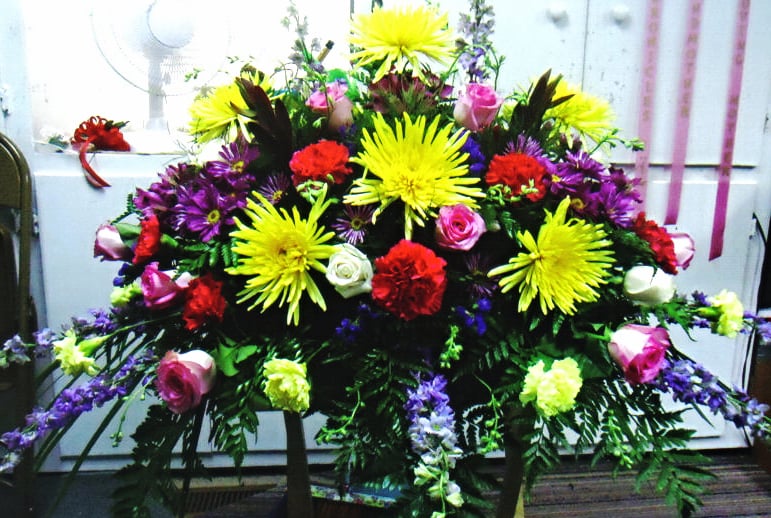 &quot;AMAZED&quot;  
  Mixed Colors 
   $400.00