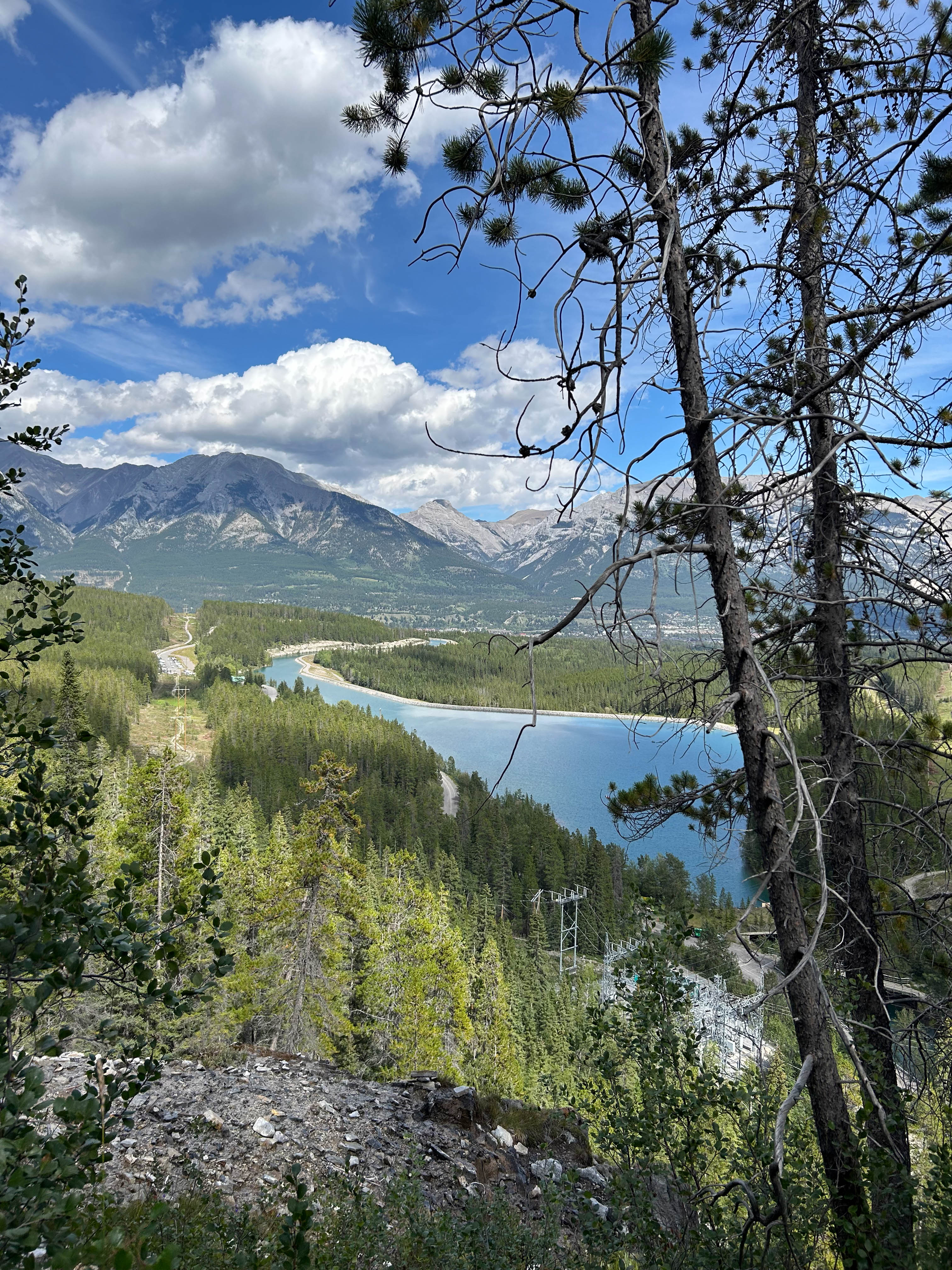 https://0201.nccdn.net/1_2/000/000/101/275/calgary-order-273.jpg