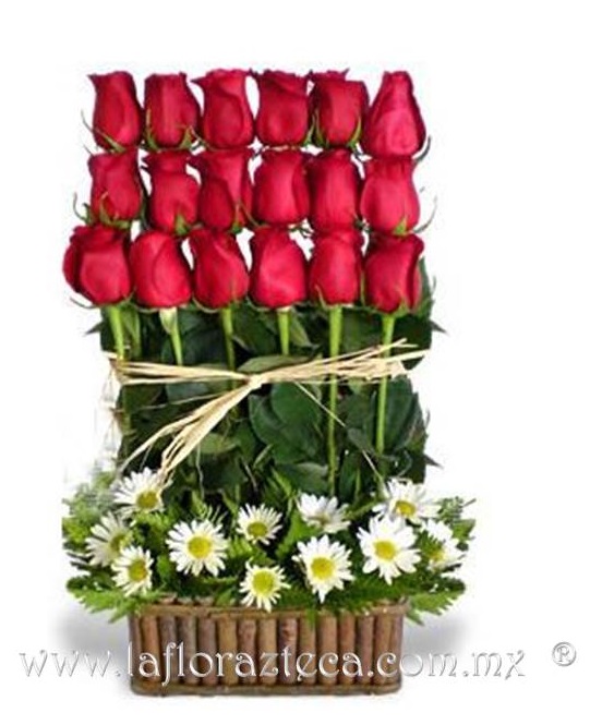 LFA-302
Precio $1080