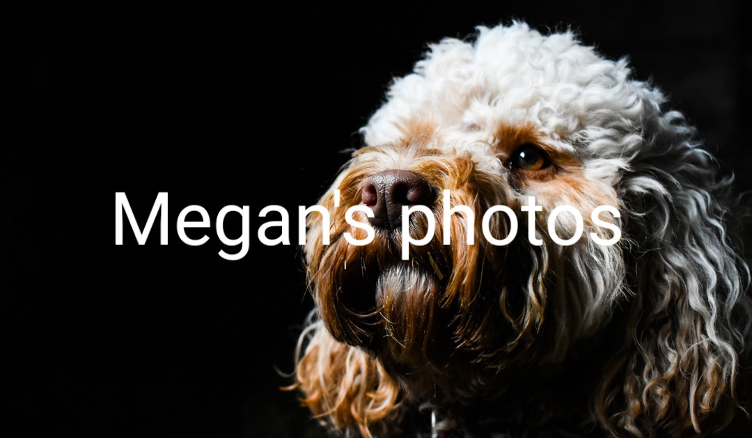 https://0201.nccdn.net/1_2/000/000/101/a99/watermark_2020-10-19-20-35-54-1-.jpg