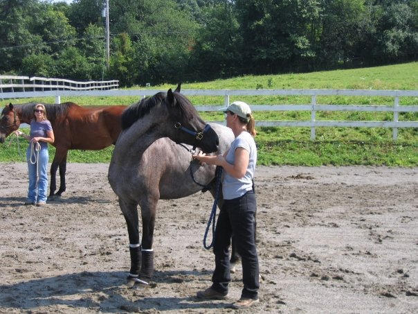 Clinic Hosted by Amelia Acres