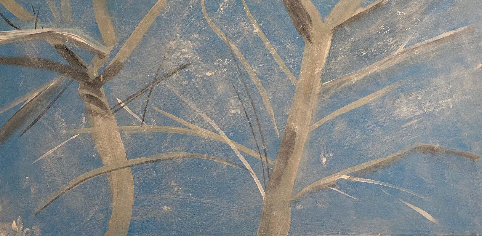 https://0201.nccdn.net/1_2/000/000/101/bfe/-winter-trees-in-snow.jpg