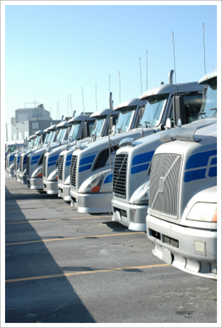 Trucks front picture|||| Trucks front picture||||