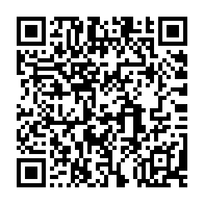 Imagen de logotipo de muestra