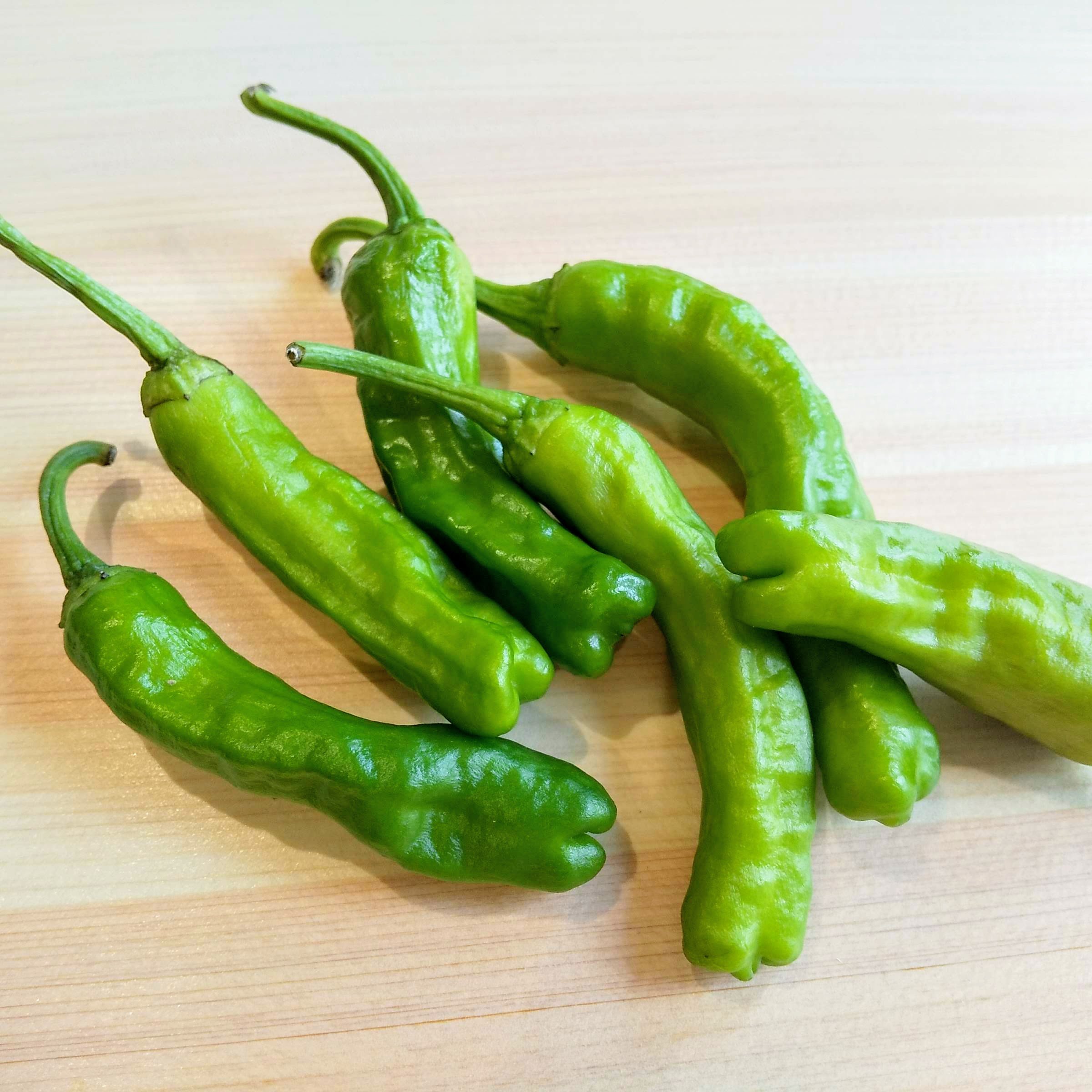 Chile Shishito BBQueen