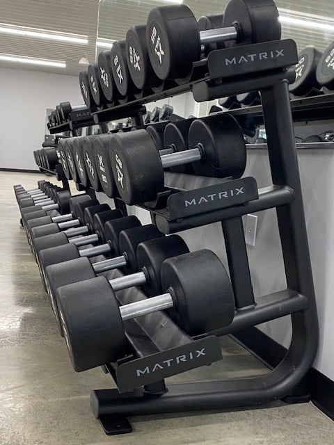 Black free weights in a stand with mirror behind them.