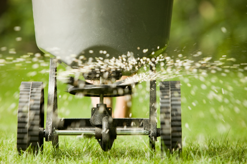Fertilizer spreader spraying pellets on grass Fertilizer spreader spraying pellets on grass