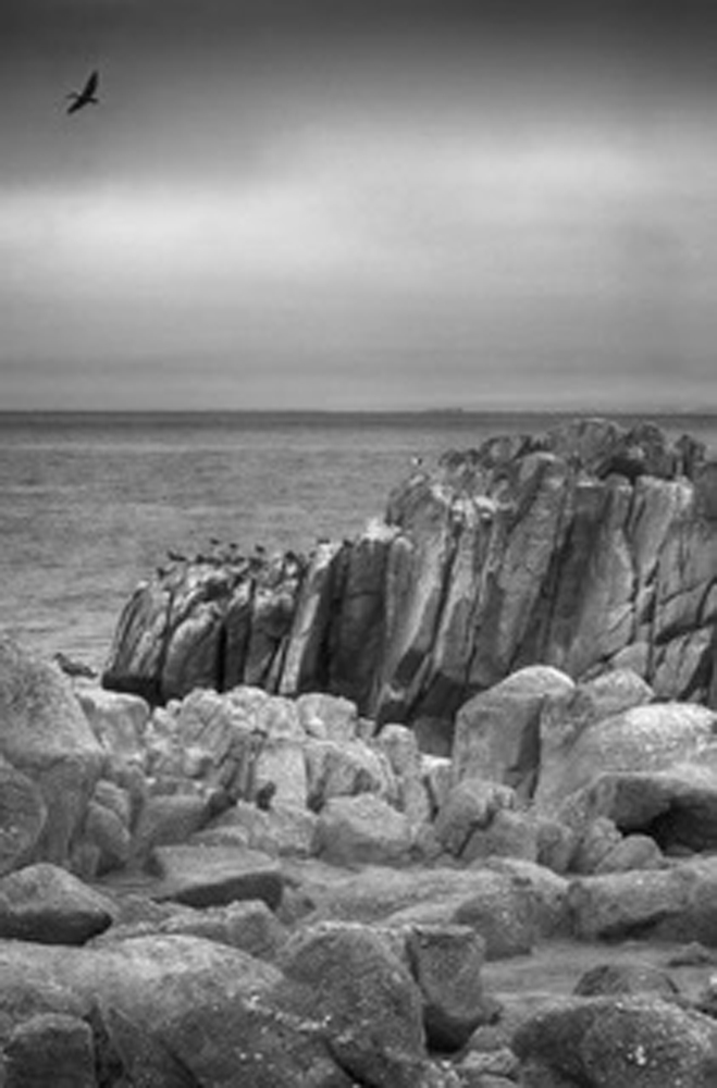 Pacific Grove Show Off