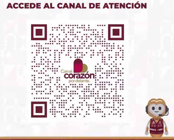 Servicio de lengua de señas mexicana y lenguas indígenas