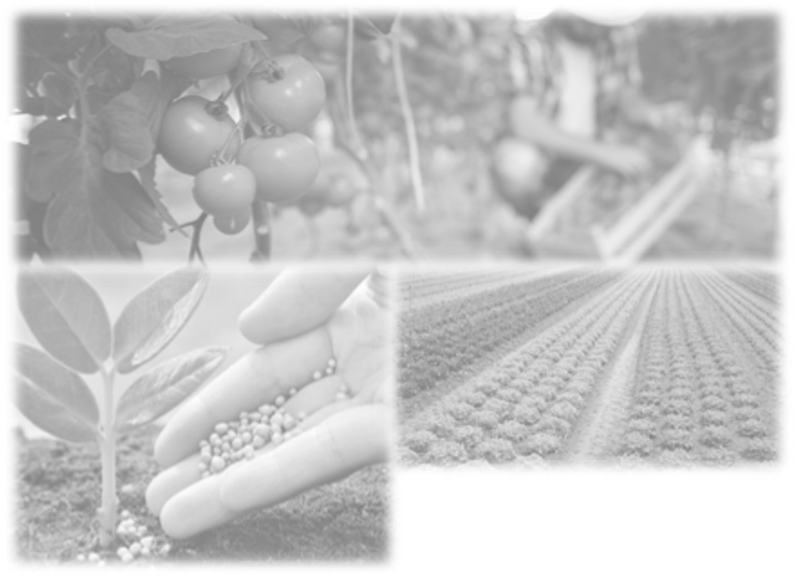 Charts with statistics on a laptop screen