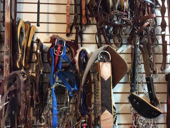 Forrajera y Veterinaria "Ortiz" - VENTA DE ARTICULOS PARA MASCOTAS