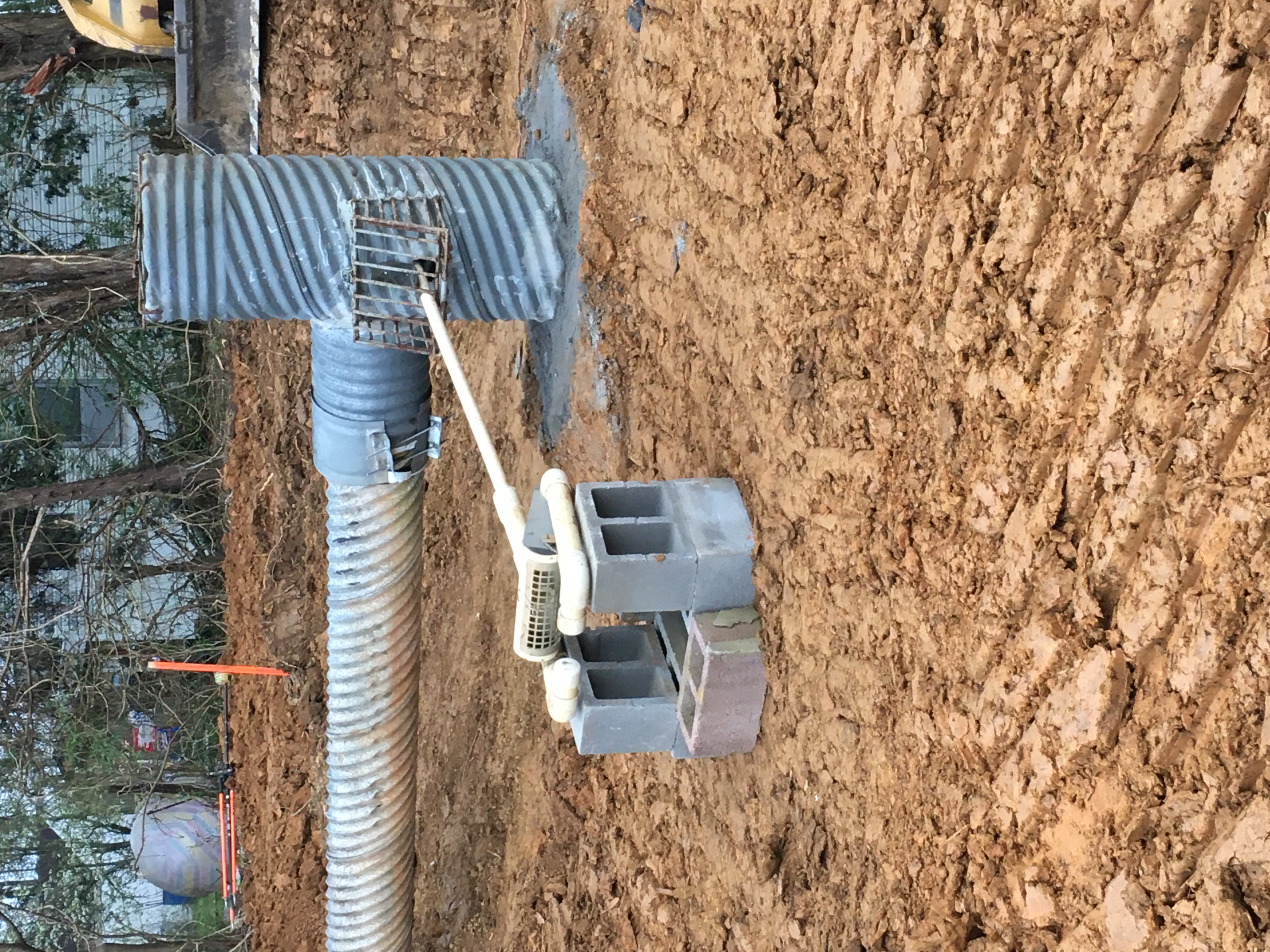 Knox Habitat StrawPlains