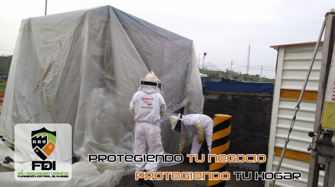 Coloque el título aquí