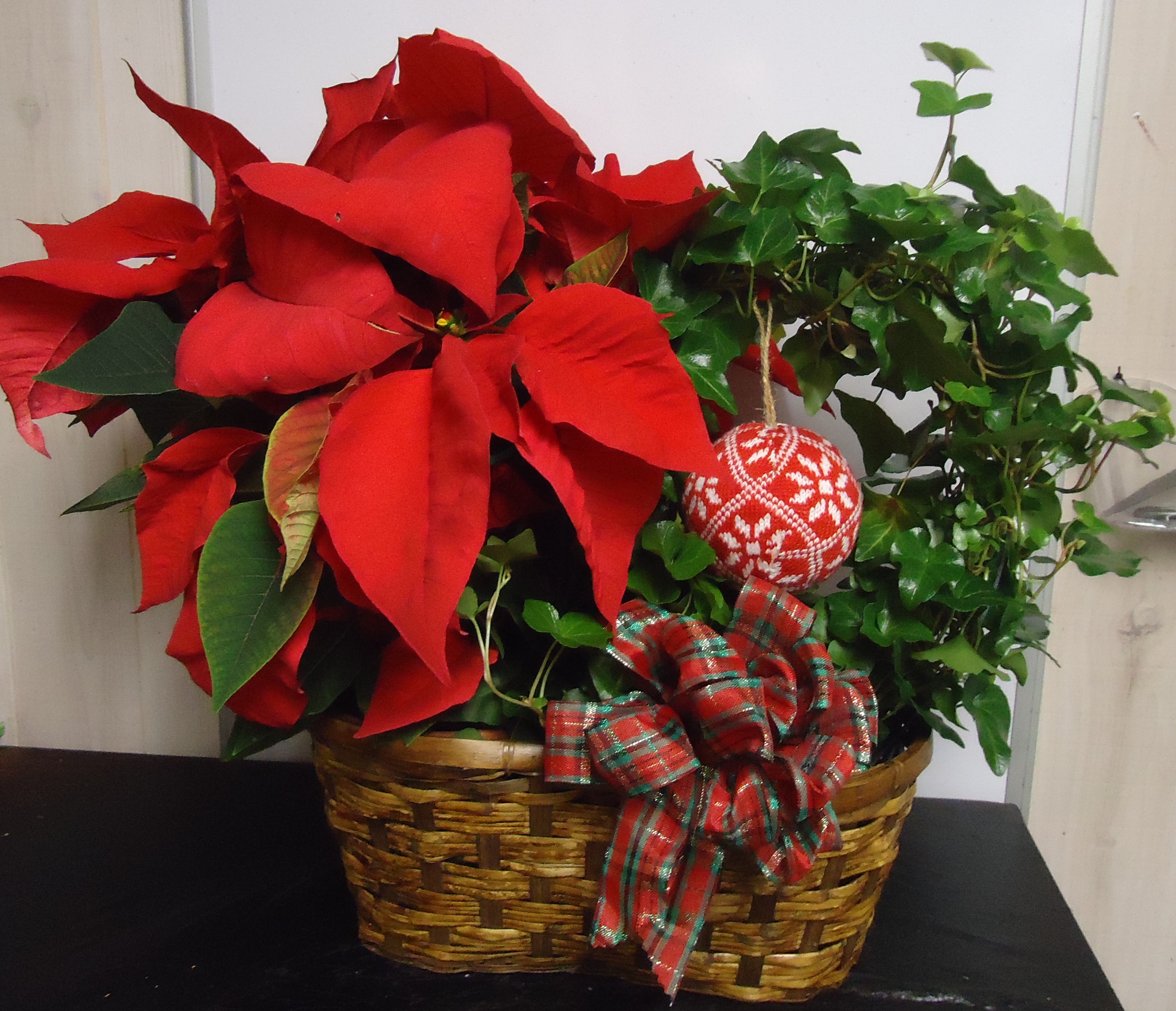 (5) "Double" Basket
(Red Poinsettia & Ivy Hoop
W/ Christmas Ball Ornament)
$70.00