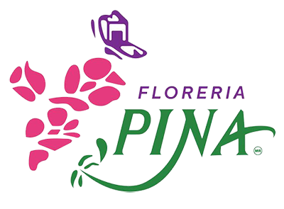 Venta de flores – Colima - Florería Pina 