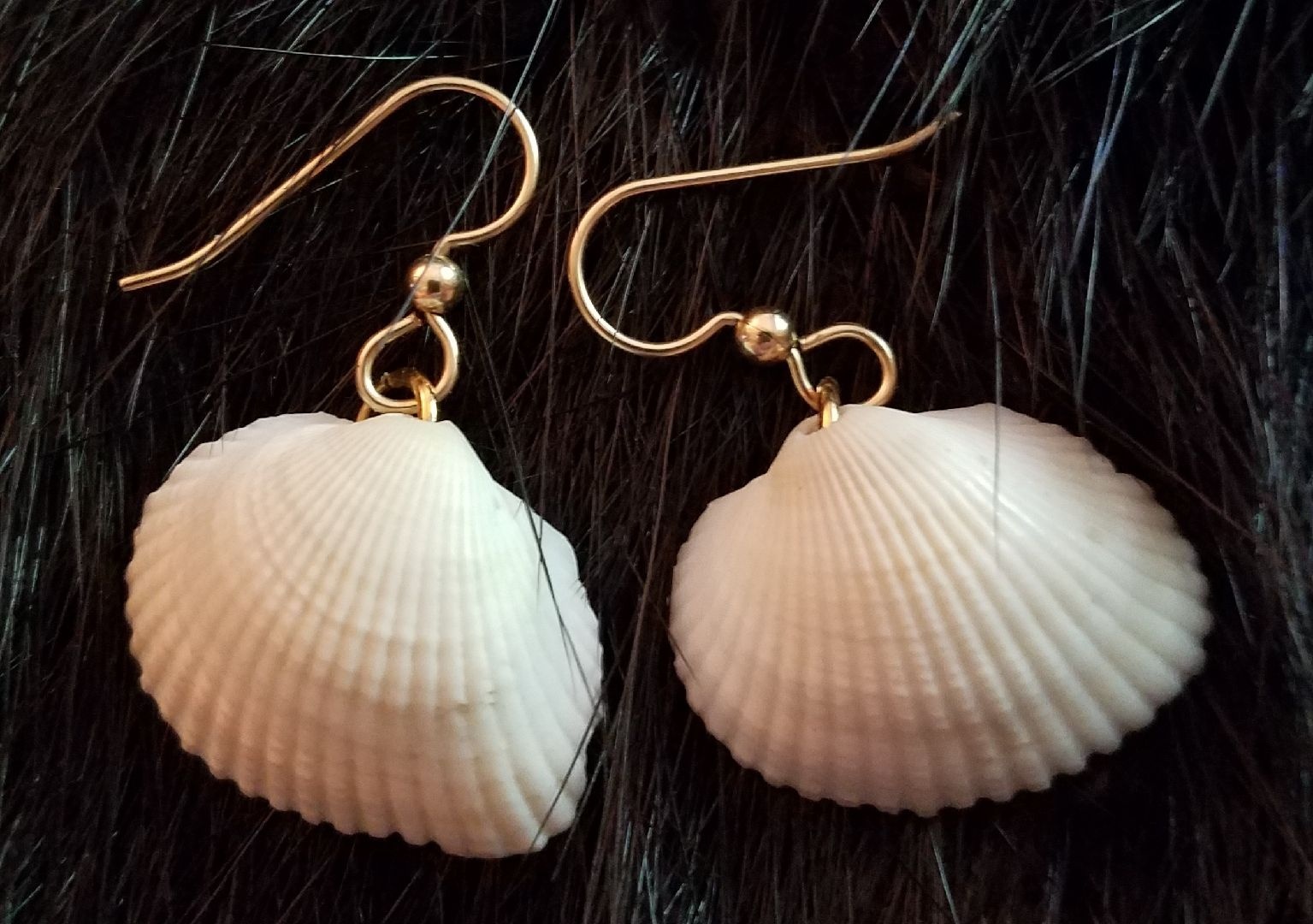 Sea Shell Ear Rings, $20.00