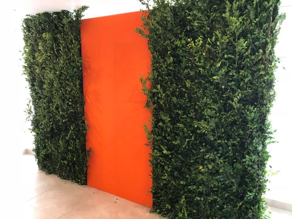Altura 2.20m x 1.04m
Tapizada Naranja $50.000
Jardines Naturales $ 130.000
precio unitario por modulo