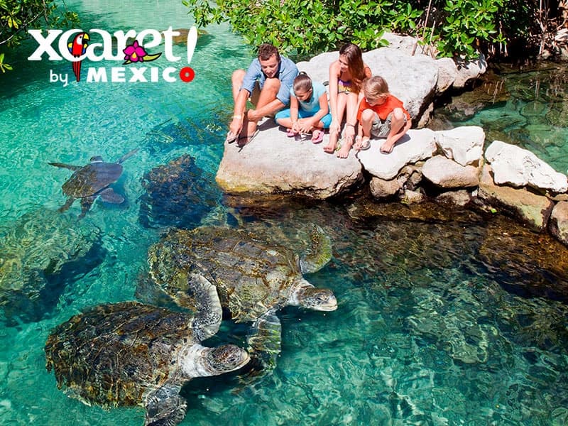 XCARET