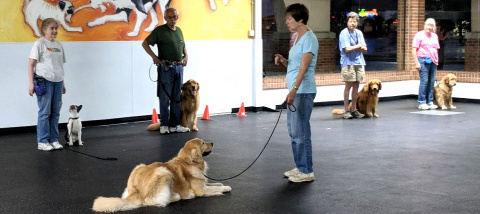 Joseph's obedience shop training school