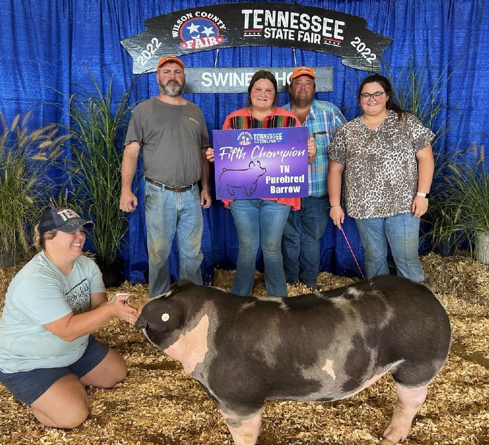 Reese Selby
2022 Tennessee State Fair
Champion Spot Barrow
 Tennessee Bred 
5th Overall Tennessee Bred Barrow