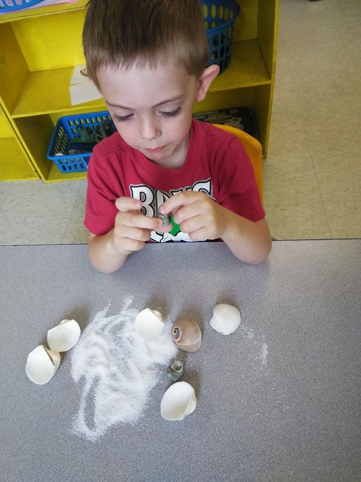 Boy Playing With Seashells