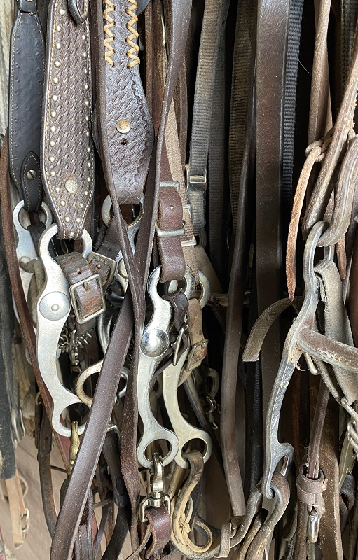 Horse Bridle