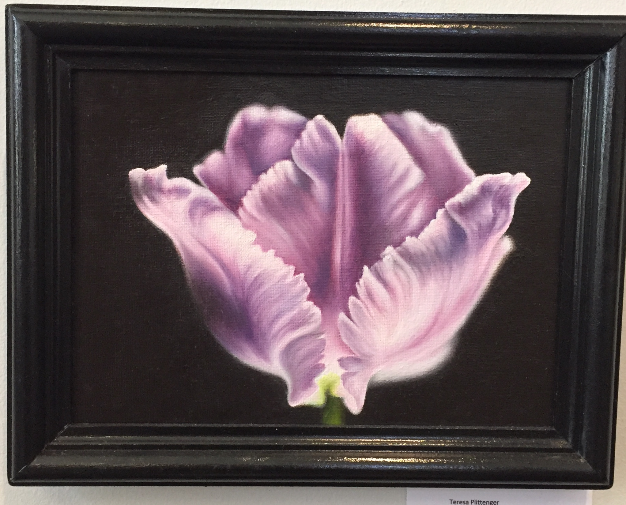 Purple Tulip
Oil
13"x10"
$250.