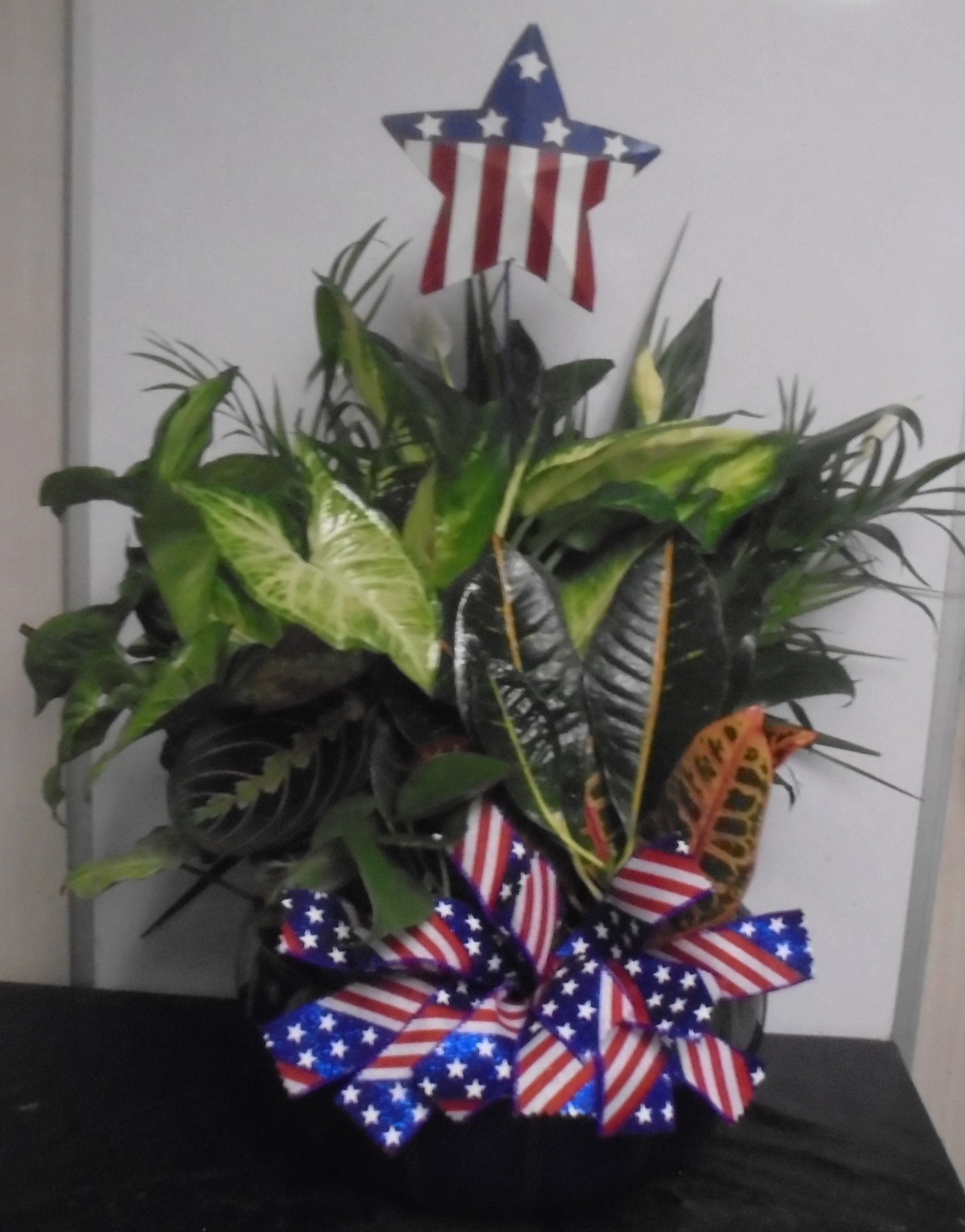 (SORRY SOLD!!)
(9) Dish-Garden Plant 
W/ Patriotic Star & Bow
$100.00
