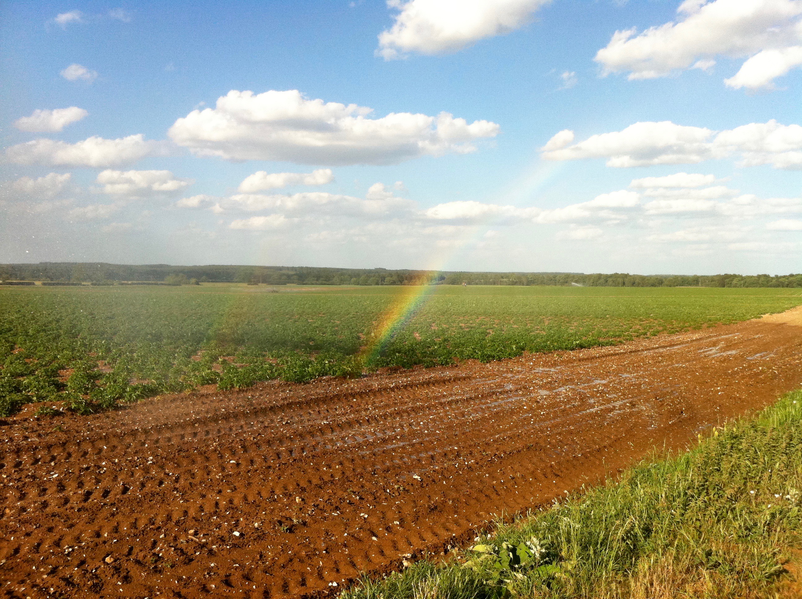 End of the rainbow at Lackford