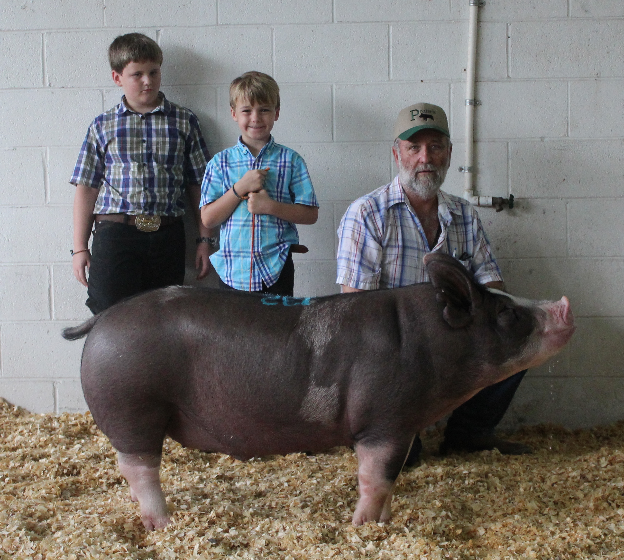 Lusk Show Team
2018 Tennessee State Fair
Champion Berkshire Barrow