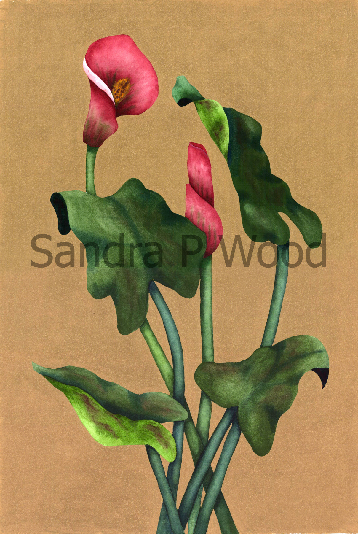CALLA DUO
(mixed media)


