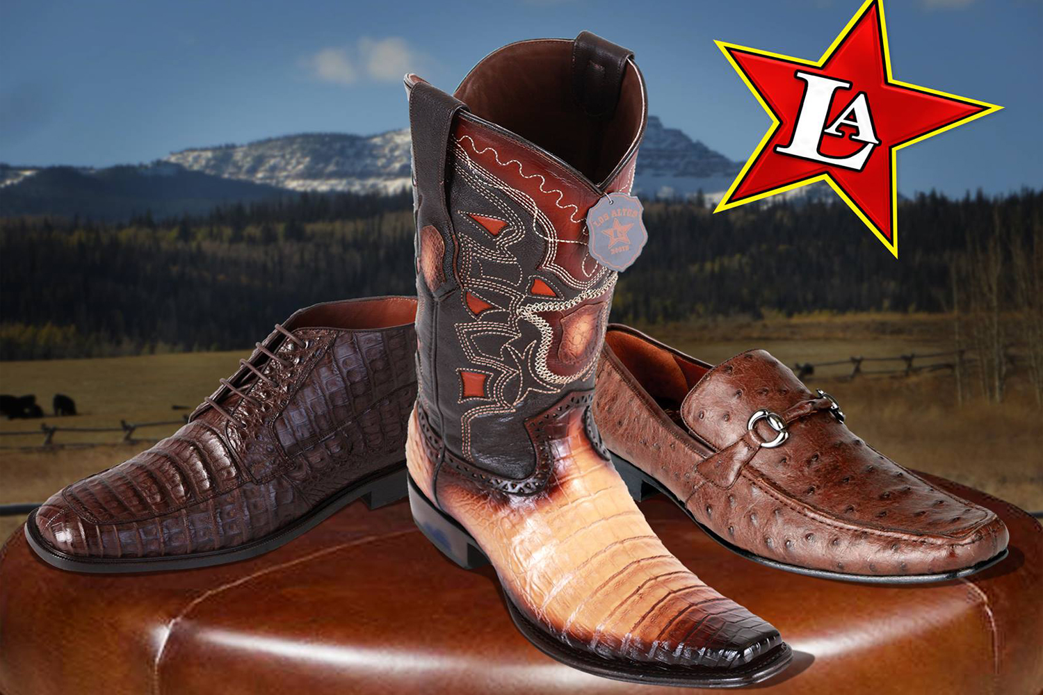 Los altos boots catalogo 2018 online