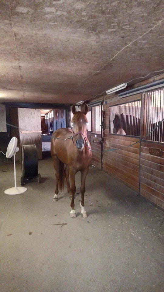 Sonny: Came to Positive Way to be started (after he was "started")