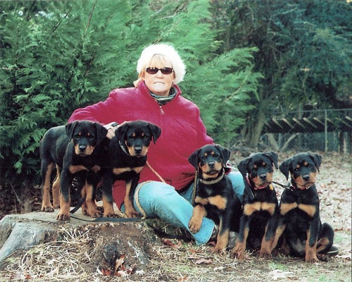 Our Litter at 8 Weeks