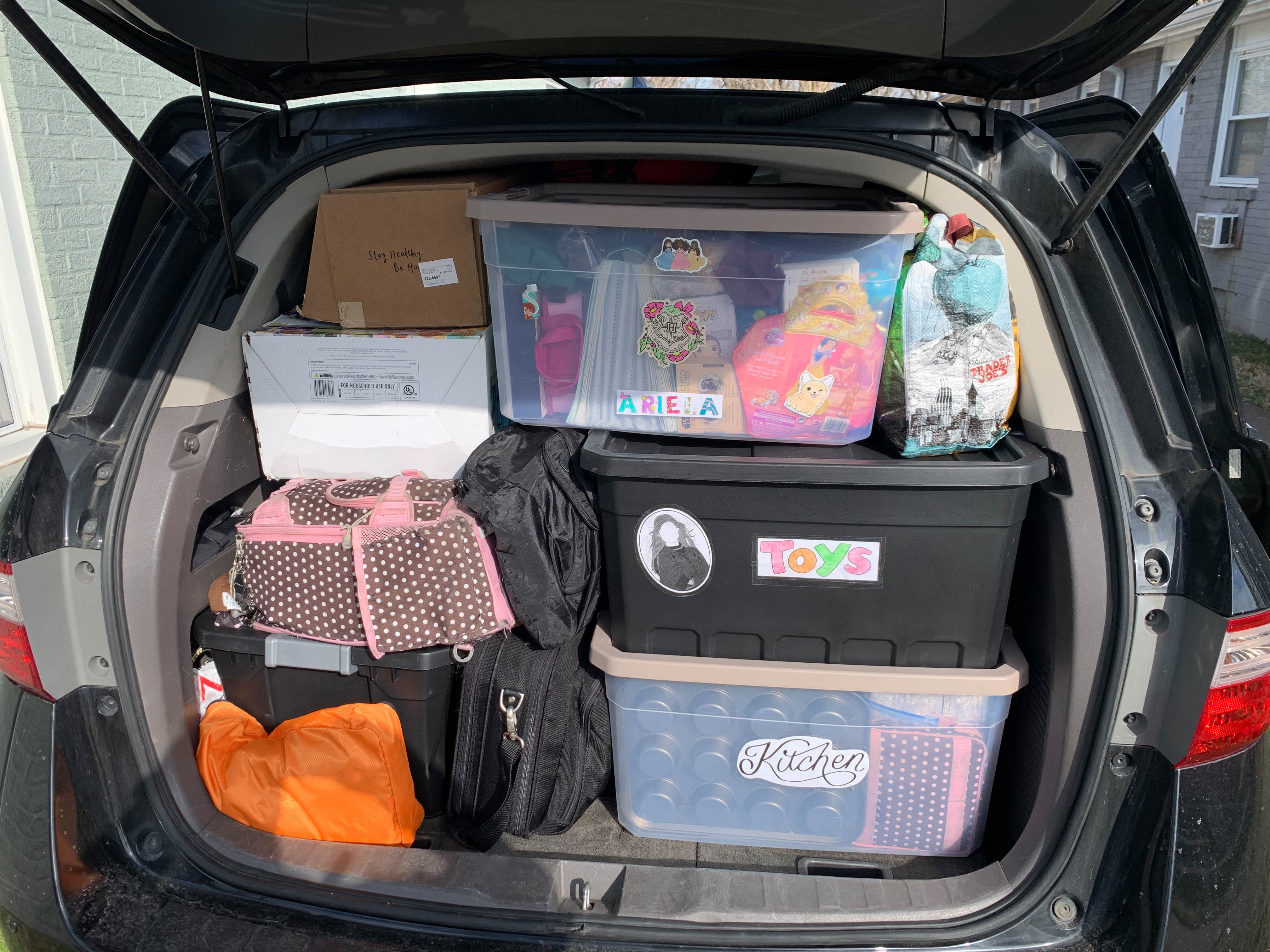 Daddy had to go to Detroit, but we got to go to Orlando instead!