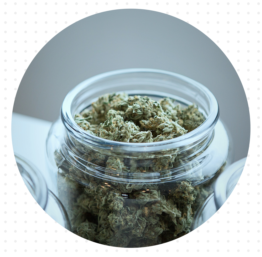 Cookie Jar