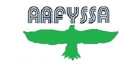 AA FRIO Y SERVICIOS SA DE CV