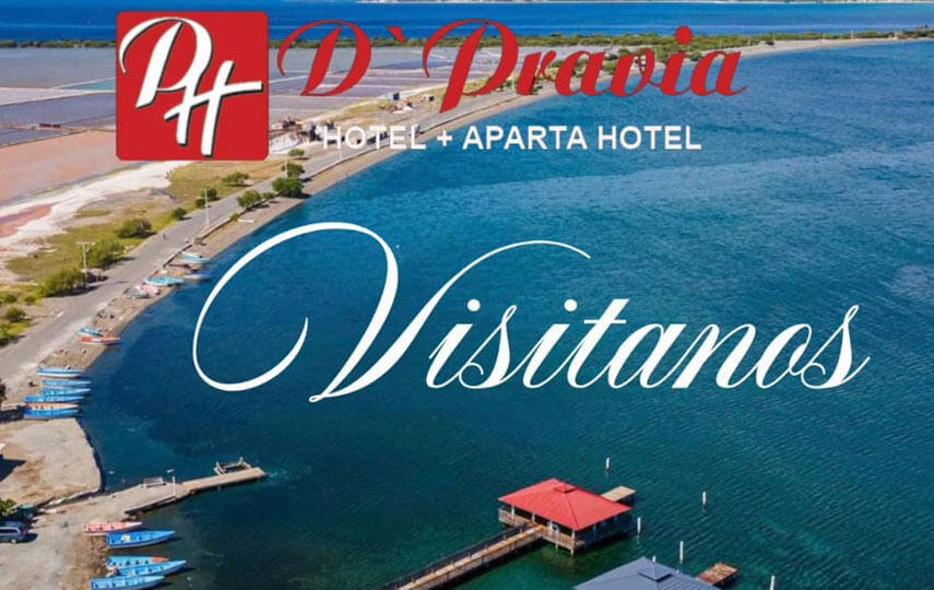 D PRAVIA HOTEL SRL