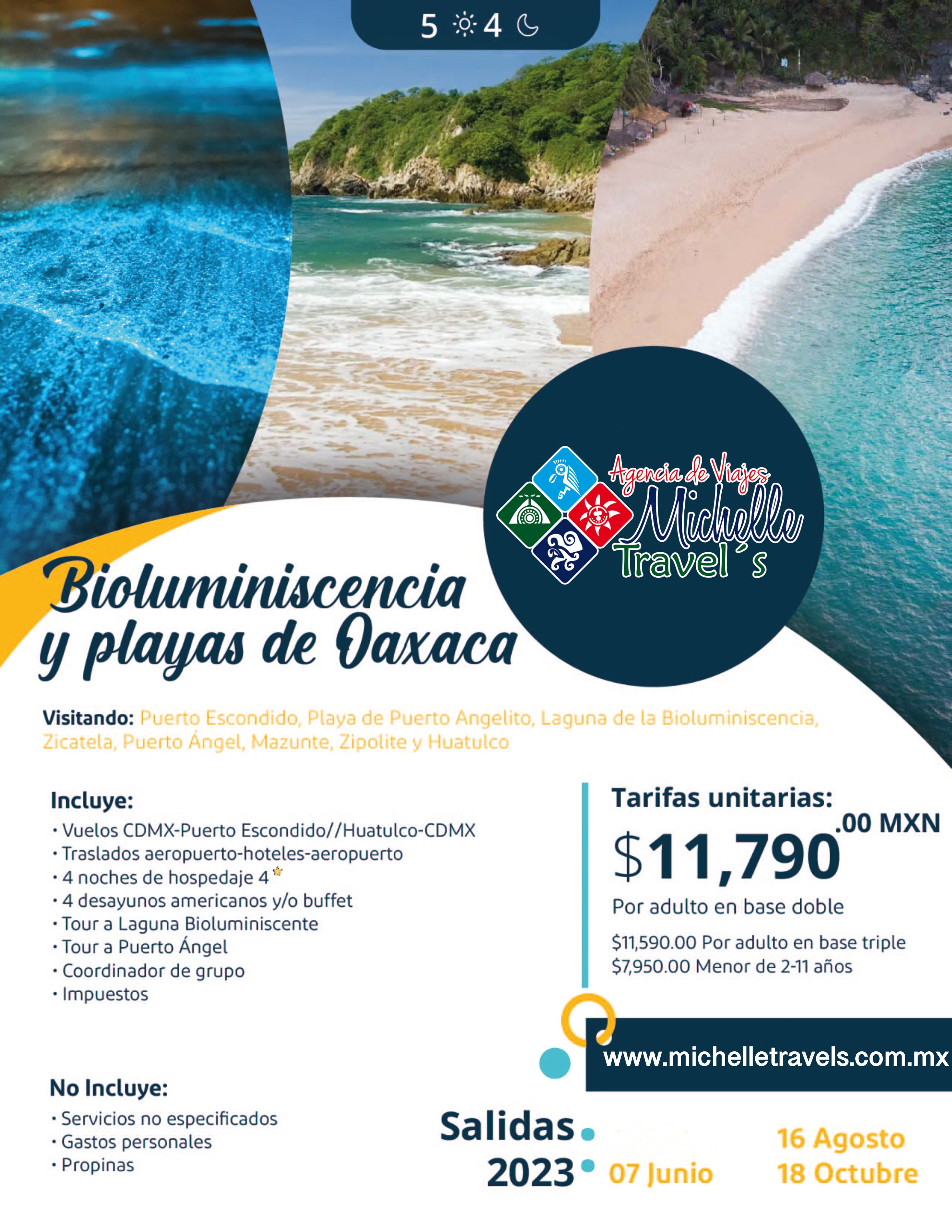 https://0201.nccdn.net/1_2/000/000/107/6ca/bioluminicencia-y-playas-de-oaxaca-flyer_page-0001.jpg