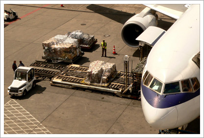 Customs and border protection||||