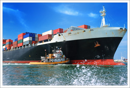 Liability and purchasing coverage||||