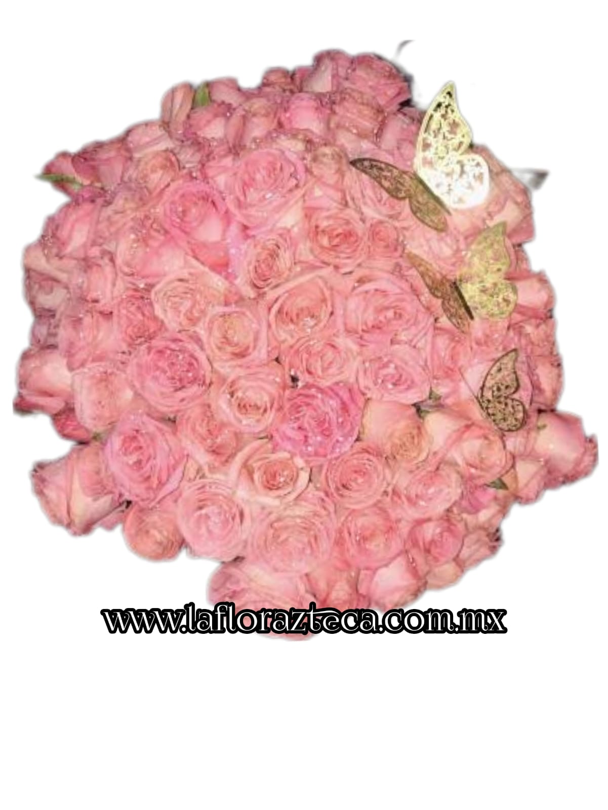 TOP - 5  RAMO BARBIE BUCHON
24 Rosas    $950
50 Rosas     $1,690
100 Rosas   $3,090