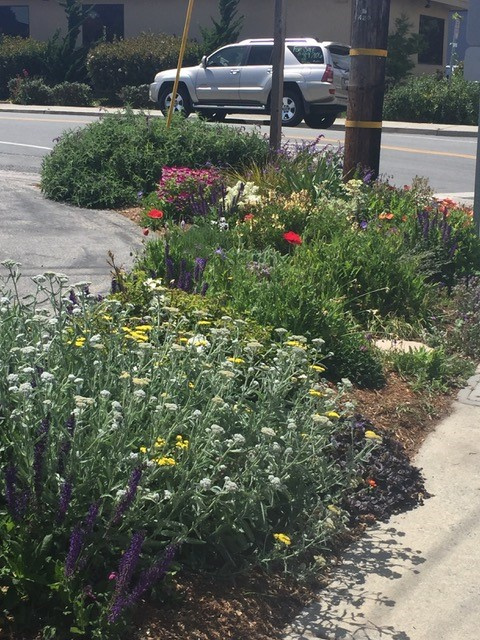 Indigo Real Estate 2