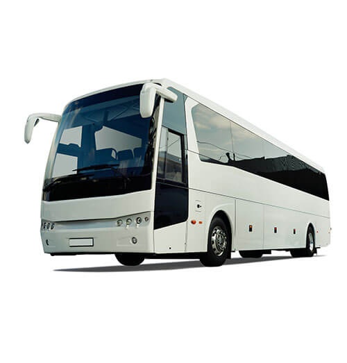 Cabo Luxury Services - Servicio al turista