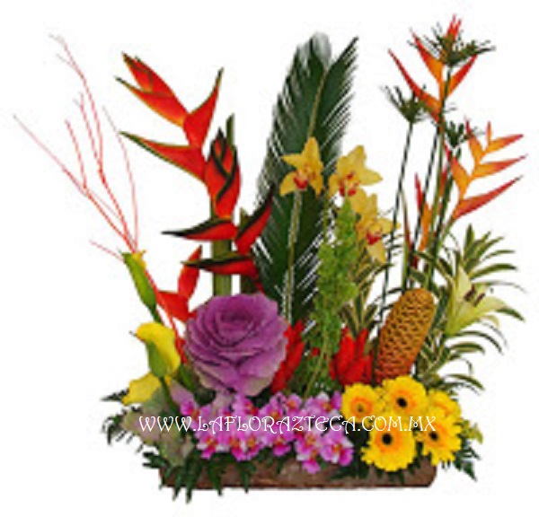 LFA-DA004 Diseño Exótico
Precio $2380