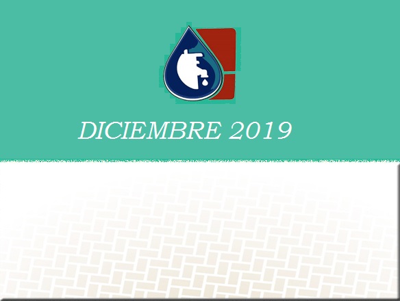 https://0201.nccdn.net/1_2/000/000/108/1ae/Logo-DICIEMBRE-584x440.jpg